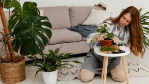 Adorning Your Space – Home & Lifestyle