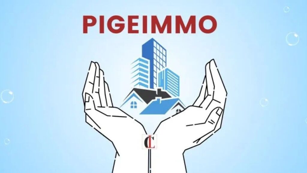 Exploring Pigeimmo: The Future of Real Estate Blogging