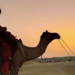 How to Plan a Memorable 3 Days Jaisalmer Tour: Complete Travel Guide