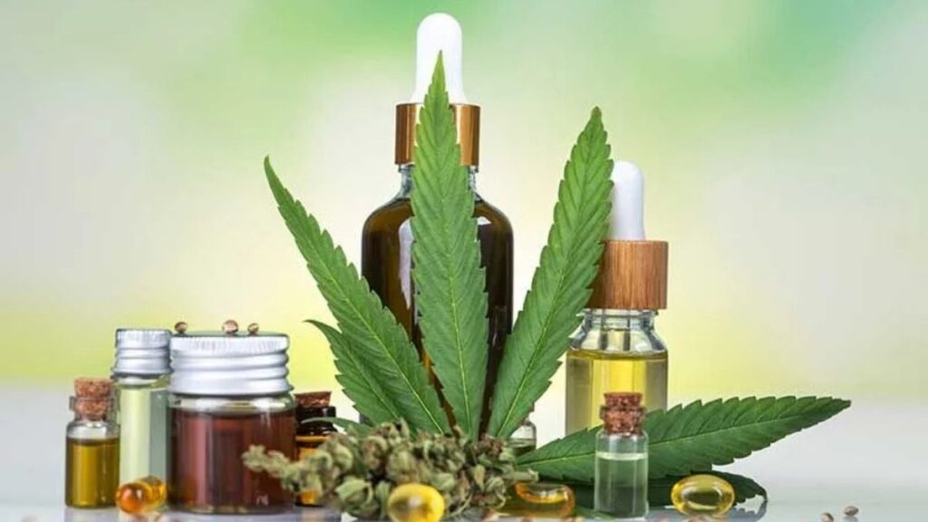 A Beginner’s Guide to Understanding Different Cannabis Products