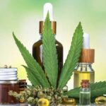 A Beginner’s Guide to Understanding Different Cannabis Products