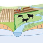 The Science Behind Aquidimatismo: How It Influences Our Daily Lives