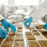 The Health Benefits of Dampfreis: A Nutritional Perspective