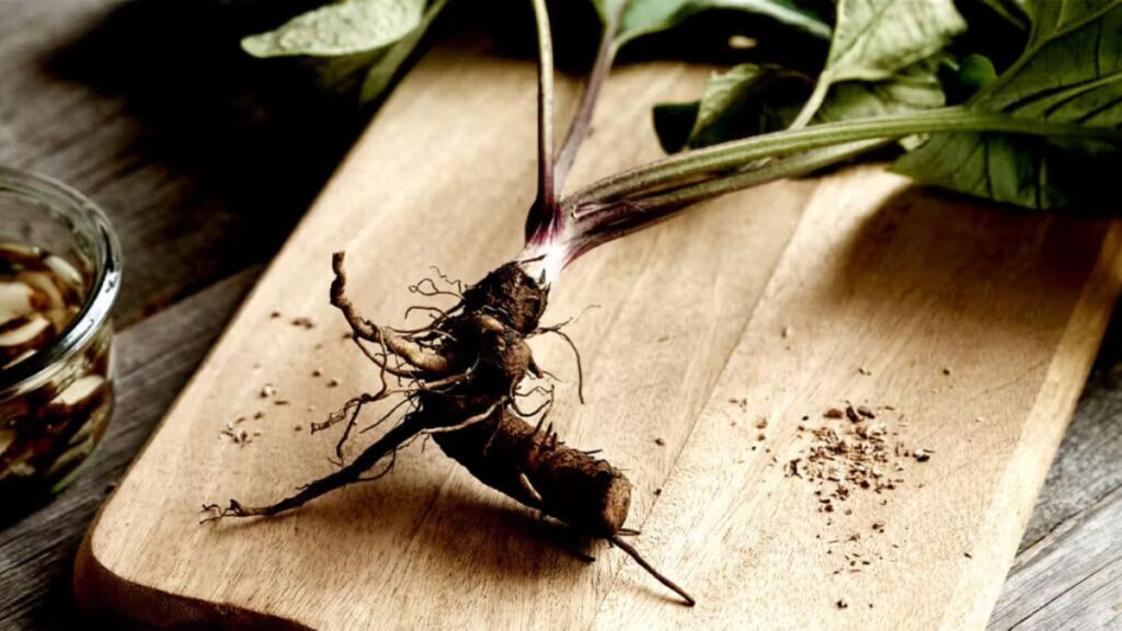 Klemroot: Explore Its Benefits and Uses in Herbal Medicine