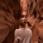 Exploring Lufanest: A Hidden Gem in Modern Blogging