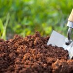 Top 5 Benefits of Using Tumbons in Your Home and Garden
