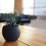 A Journey to Simpciry: Tips for Decluttering Your Mind and Home